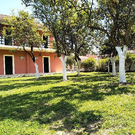 Ever Green Kavos Exterior photo